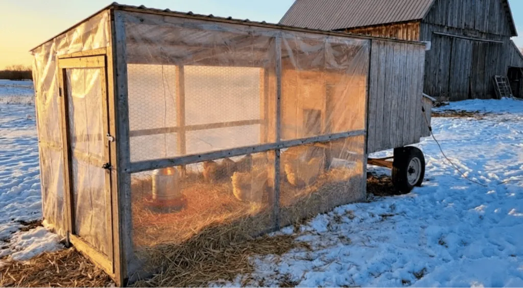 Snow on the ground in winter near a backyard chicken coop